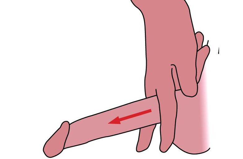 Teknika e shtrirjes së penisit
